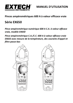 Extech Instruments EX650 600A True RMS AC Clamp Meter   NCV Manuel utilisateur